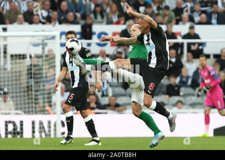 Newcastle, Royaume-Uni. Sep 21, 2019. Jonjo Shelvey du Newcastle United est en concurrence pour le bal avec Brighton & Hove Albion Aaron Mooy au cours de la Premier League match entre Newcastle United et Brighton and Hove Albion à St James Park, Newcastle Le samedi 21 septembre 2019. (Crédit : Steven Hadlow | MI News) photographie peut uniquement être utilisé pour les journaux et/ou magazines fins éditoriales, licence requise pour l'usage commercial Crédit : MI News & Sport /Alamy Live News Banque D'Images