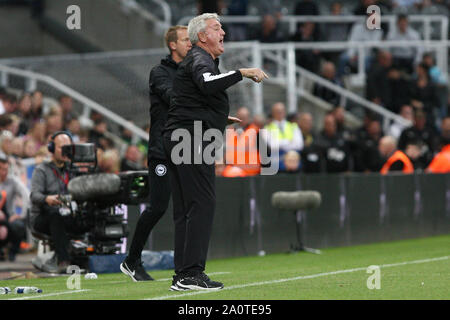 Newcastle, Royaume-Uni. Sep 21, 2019. Newcastle United manager Steve Bruce au cours de la Premier League match entre Newcastle United et Brighton and Hove Albion à St James Park, Newcastle Le samedi 21 septembre 2019. (Crédit : Steven Hadlow | MI News) photographie peut uniquement être utilisé pour les journaux et/ou magazines fins éditoriales, licence requise pour l'usage commercial Crédit : MI News & Sport /Alamy Live News Banque D'Images