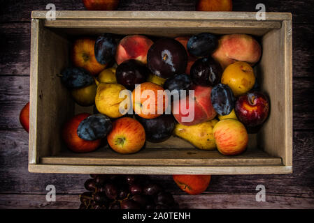 Caisse fort avec des fruits et assortiment de cultures et produire Banque D'Images