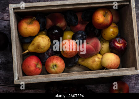 Caisse fort avec des fruits et assortiment de cultures et produire Banque D'Images