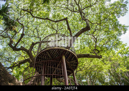 Darwin, territoire du Nord, Australie-30 novembre 2017 : terrain de jeu pour enfants construit autour d'un grand arbre dans les jardins botaniques George Brown à Darwin, en Australie Banque D'Images