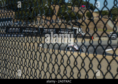 Salinas, Californie, USA. Sep 21, 2019. JOSEF NEWGARDEN (2) de l'United States pratiques pour le Grand Prix de Firestone à Monterey Weathertech Raceway Laguna Seca à Salinas, en Californie. (Crédit Image : © Walter G Arce Sr meule Medi/ASP) Banque D'Images