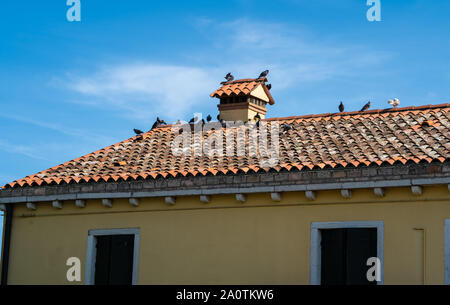 Pigeons sur un toit de tuiles en terre cuite, Torcello, Italie Banque D'Images