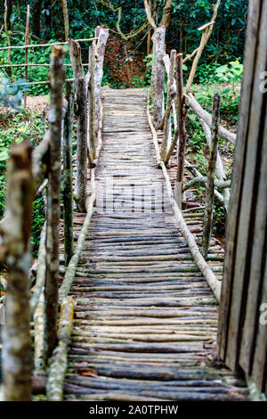 Pont en bois route dans un paysage de forêt tropicale, Andasibe Madagascar désert Banque D'Images
