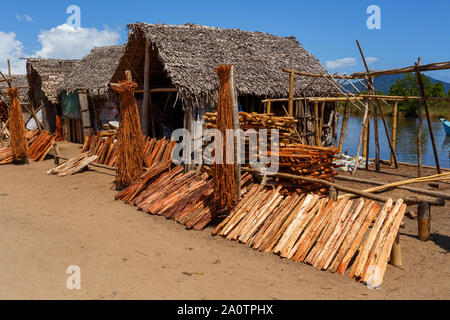 Le séchage du bois au soleil en face d'une traditionnelle maison de Madagascar, Maroantsetra, Madagascar Banque D'Images