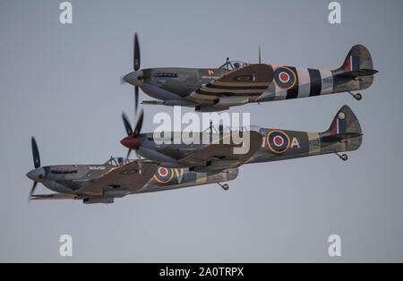 Cambridge, Cambridgeshire, Royaume-Uni. 21 septembre 2019. Week-end à thème des années 1940, de voler à Duxford IWM avec WW2 historique) et un vol de 15 Spitfire massés, commémorant le 50e anniversaire du film "Bataille d'Angleterre'. Des scènes du film, y compris le célèbre hangar explosant, ont été tourné sur place à Duxford. Image : (gauche et centre) : Spitfire Mk IXT ; (droite) : HF Spitfire Mk IX. Credit : Malcolm Park/Alamy Live News. Banque D'Images