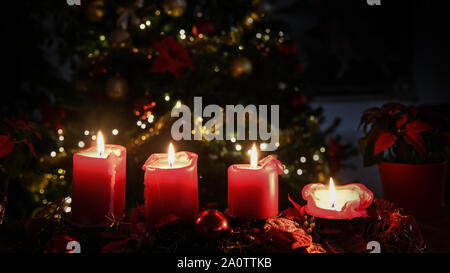 Bougies de Noël feu, plante Poinsettia, fleurs, arrière-plan d'arbre éclairé, étoiles de texte Banque D'Images