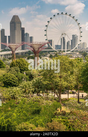 Singapour - Mars 22, 2019 : Jardins de la baie, Supertree Grove. Portrait, le Flyer Grande Roue et quelques supertrees en face de freeway et skyscra Banque D'Images