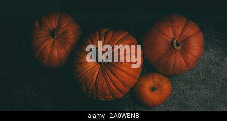 À partir de la photo ci-dessus de quatre citrouilles orange en blanc sur fond noir, célébration de l'halloween Banque D'Images
