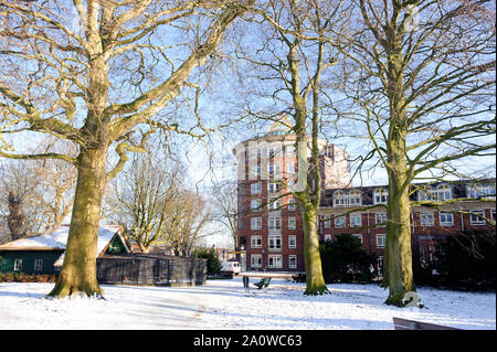 Hoorn, Noord-Holland / Pays-Bas - 11 mars 2012 : Oiseaux maison et bâtiments en brique rouge dans la neige en hiver ensoleillée journée dans la ville de Hoorn, Pays-Bas. Banque D'Images