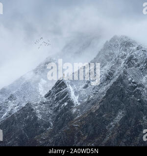 De superbes images de paysage détail de sommets Pen An Wen Ole en montagne au cours de Snowdonia tempête hivernale spectaculaire avec des oiseaux de haut vol au-dessus Banque D'Images