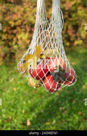 Chaîne de magasins avec sac de pommes rouges et de feuilles d'érable. L'automne zéro déchets concept. Shot verticale Banque D'Images