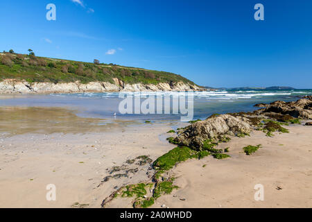 La plage de sable doré à Maenporth près de Falmouth Cornwall England UK Europe Banque D'Images