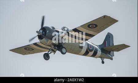 WW2 en livrée de la Royal Navy Grumman Wildcat flying affichage à l'IWM Duxford 2019 Spectacle aérien de la bataille d'Angleterre, Cambridgeshire, Angleterre, RU Banque D'Images