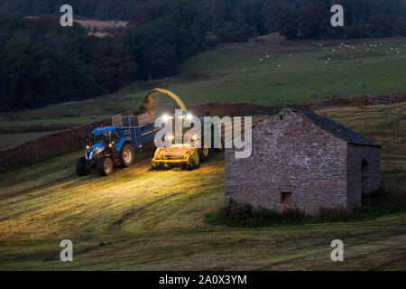 La récolte de fin de nuit d'herbe pour l'ensilage près de régler, North Yorkshire, UK. Une ensileuse dépose l'herbe tondue dans une remorque qui longe. Banque D'Images