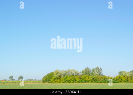 Paysage de polders hollandais traditionnel dans l'Ooijpolder près de Nimègue, Pays-Bas Banque D'Images