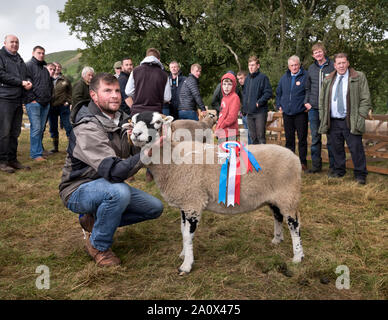 Moorcock Show qui a eu lieu entre Garsdale et Hawes, Yorkshire du Nord, septembre 2019. Show est avant tout un spectacle de moutons. Le Champion Swaledale (M & S Sunter). Banque D'Images