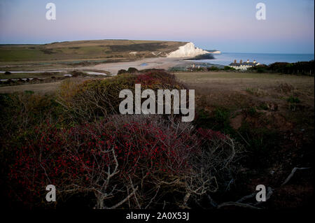 Une vue spectaculaire sur les Sept Soeurs country park et des arbres. Les Sept Soeurs dans le Sussex, Angleterre sont une série de falaises de craie blanche. Banque D'Images