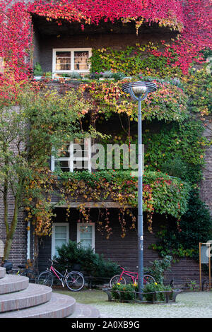 Mur de l'édifice avec un balcon est couvert de lierre Banque D'Images