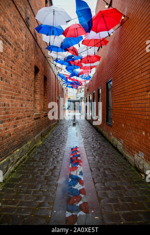 Rouge Blanc et bleu parasols suspendu au-dessus de Pierre Lane Way avec des réflexions en flaque, Ballarat Victoria Australie Banque D'Images