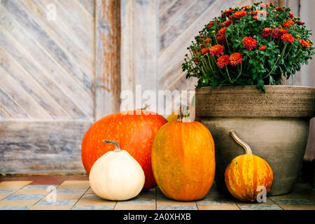 Décorées de grâce porte avant avec différentes tailles et formes des citrouilles et du chrysanthème. Porche décoré pour l'Halloween, Thanksgiving, Collection Automne Banque D'Images