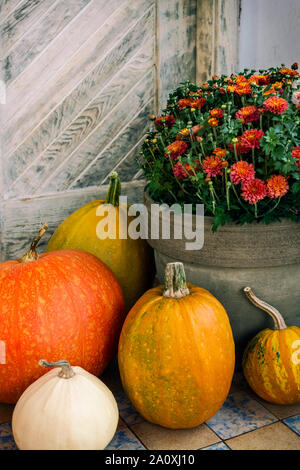 Décorées de grâce porte avant avec différentes tailles et formes des citrouilles et du chrysanthème. Porche décoré pour l'Halloween, Thanksgiving, Collection Automne Banque D'Images