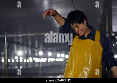 (190922) -- BEIJING, 22 Septembre, 2019 (Xinhua) -- Guo Qi eau lingettes de son visage dans la ville de Gaizhou, Liaoning Province du nord-est de la Chine, le 5 septembre 2019. Guo Qi, 31, à l'origine un diplôme d'ingénierie civile majeure en 2010. Elle est retournée à sa ville natale avec son mari et a commencé à soulever le flétan noir en 2011. Bien que Guo avait d'apprendre des connaissances pertinentes à partir de zéro et de s'habituer à l'épuisement causé par des heures de travail acharné, elle a réussi et n'a jamais abandonné. À l'heure actuelle, Guo a établi 3 bases turbot à Liaoning et Hebei, avec plus de production annuelle de turbot 1 million de kilogrammes. Pendant ce temps, Banque D'Images