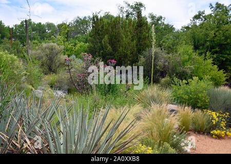 Desert Garden Conservatory in late summer in New Mexico Banque D'Images