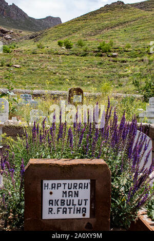 Dogubayazıt, Turquie : Tombes, pierres tombales et des fleurs dans le cimetière à côté de la petite mosquée près de l'Ishak Pasha Palace et le château de vieux Beyazit Banque D'Images