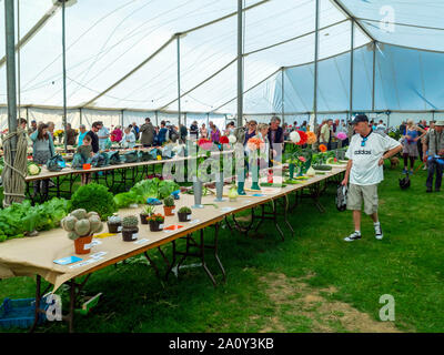 160e exposition annuelle de la Société agricole de shérif devient 21 septembre 2019 intérieur du chapiteau de l'Horticulture du prix avec des légumes et des fleurs Banque D'Images