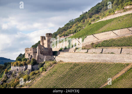 Le Château d'Ehrenfels, un château en ruine au-dessus des gorges du Rhin, près de la ville de Rüdesheim am Rhein en Hesse, Allemagne. Banque D'Images