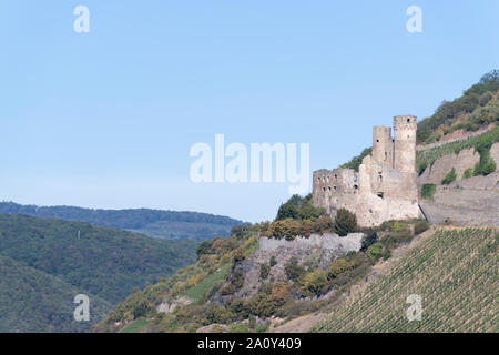 Le Château d'Ehrenfels, un château en ruine au-dessus des gorges du Rhin, près de la ville de Rüdesheim am Rhein en Hesse, Allemagne. Banque D'Images