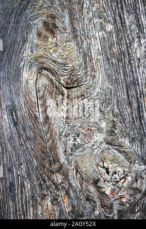 Ancienne surface de planche en bois, la texture de votre conception Banque D'Images