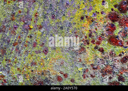 La rouille et la mousse sur la surface du métal, la texture du conseil métalliques endommagés Banque D'Images