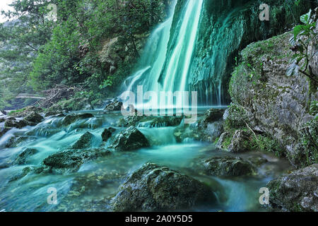 Avis de vadu crisului cascade de la Transylvanie, Roumanie Banque D'Images