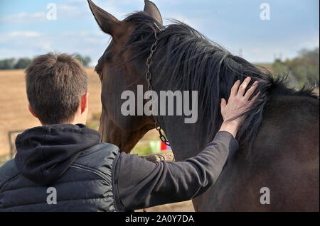 Adolescent avec un cheval dans la nature Banque D'Images