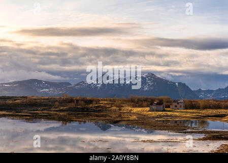 Paysage de campagne sur le chemin entre Leknes et Hauckland beach, îles Lofoten, Norvège Banque D'Images