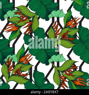 Vector floral fleurs botanique tropicale. Lame de ressort sauvages isolés de fleurs sauvages. Noir et blanc Encre gravée motif de fond transparente art.. Fabric Illustration de Vecteur