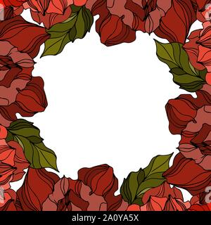 Vector floral fleurs roses botaniques. Lame de ressort sauvages isolés de fleurs sauvages. Gravée en noir et blanc L'art de l'encre pour le carré ornement sur blanc b Illustration de Vecteur