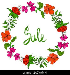 Vector floral fleur botanique tropicale. Hawaiian tropical exotique de l'été. L'art d'encre gravée Frame border ornement carré sur fond blanc. Illustration de Vecteur