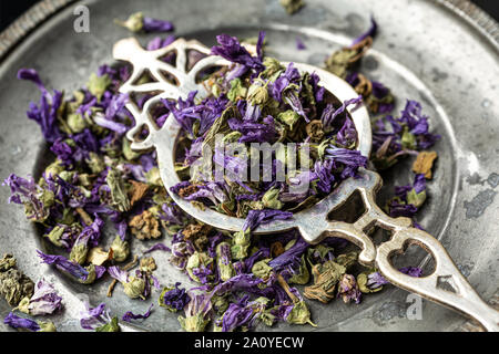 Mauve, fleurs séchées sur une passoire du thé Banque D'Images