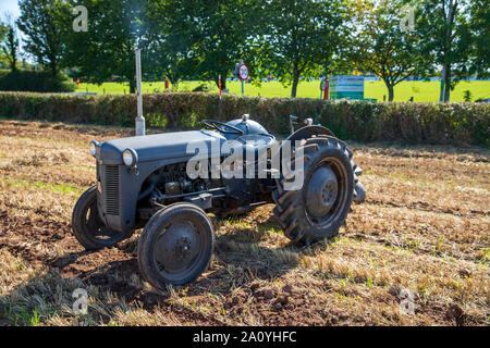 Tracteur Vintage au Vintage Tracteur et laboure Affichage à mâcher Stoke 2019 Banque D'Images