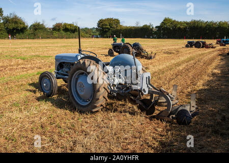 Les tracteurs d'époque au Vintage Tracteur et laboure Affichage à mâcher Stoke 2019 Banque D'Images