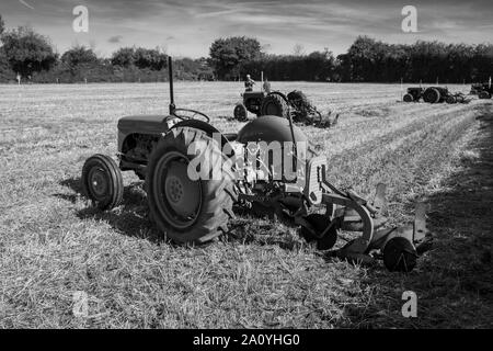 Les tracteurs d'époque au Vintage Tracteur et laboure Affichage à mâcher Stoke 2019 Banque D'Images