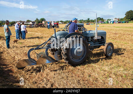 Tracteur Vintage au Vintage Tracteur et laboure Affichage à mâcher Stoke 2019 Banque D'Images