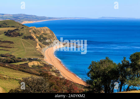 Chemin de la côte sud à pied de charmouth à golden cap, dorset, England, UK go Banque D'Images