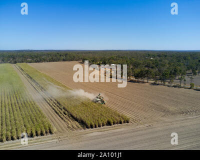 Une moissonneuse-batteuse suivi de la canne à sucre la récolte dans des conditions très poussiéreuses Bundaberg Queensland Australie Banque D'Images