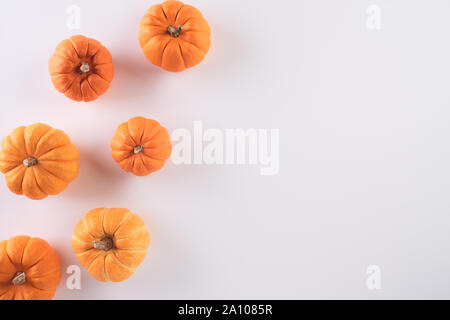 Thanksgiving Halloween, l'automne et la composition. Pumpkins sur fond blanc. Mise à plat, vue du dessus, copiez l'espace. Banque D'Images