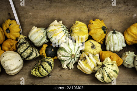 Décoration de citrouilles d'halloween avec bougies, fête et célébration Banque D'Images