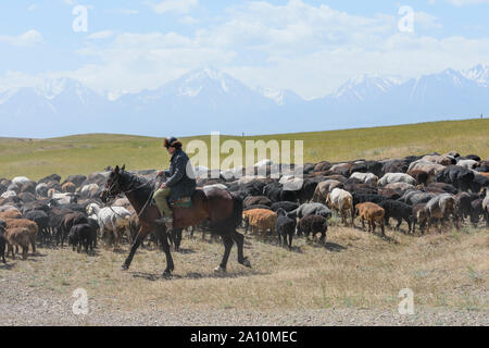 Berger à cheval avec son troupeau de moutons dans la steppe du Kazakhstan Banque D'Images